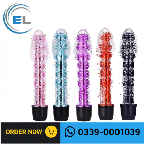 Multi-Speed Vibrator In Pakistan